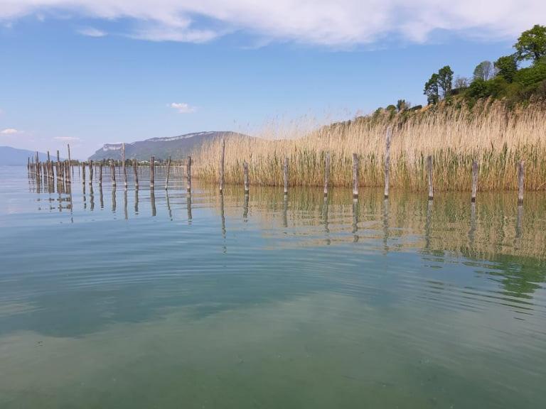 Le Lamartine, Vue Magnifique Face Au Lac Du Bourget Aix-les-Bains Exterior foto